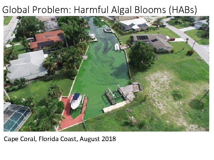 Global Problem: Harmful Algal Blooms (HABs) Cape Coral, Florida Coast, August 2018 