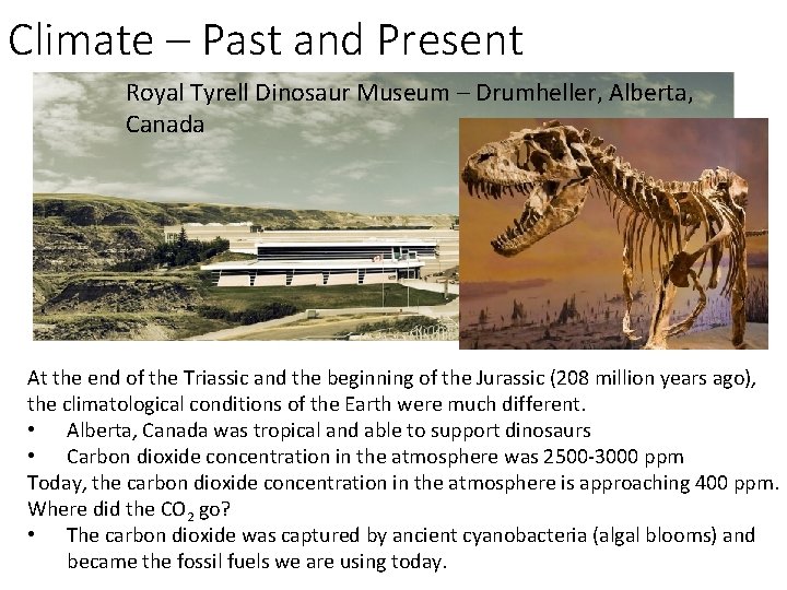 Climate – Past and Present Royal Tyrell Dinosaur Museum – Drumheller, Alberta, Canada At
