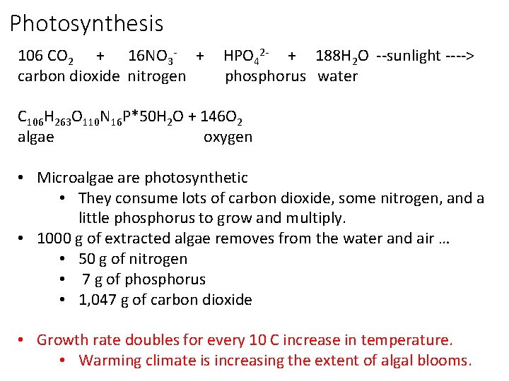 Photosynthesis 106 CO 2 + 16 NO 3 - + carbon dioxide nitrogen HPO