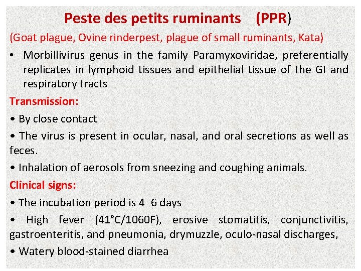 Peste des petits ruminants (PPR) (Goat plague, Ovine rinderpest, plague of small ruminants, Kata)