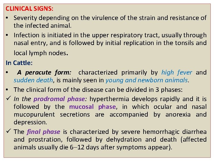 CLINICAL SIGNS: • Severity depending on the virulence of the strain and resistance of
