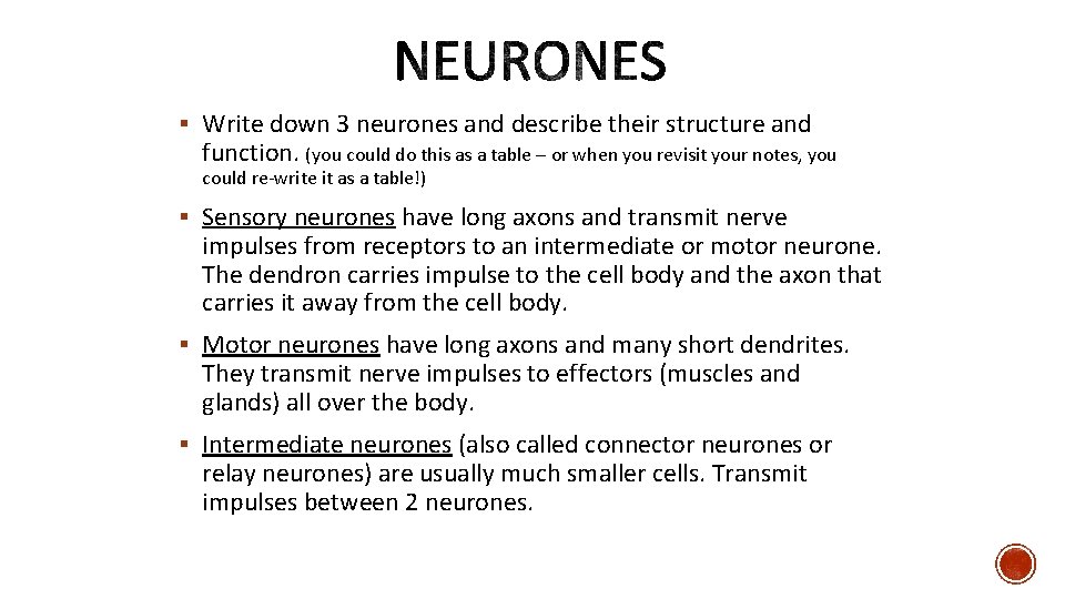 § Write down 3 neurones and describe their structure and function. (you could do