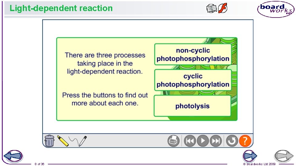 Light-dependent reaction 8 of 36 © Boardworks Ltd 2009 