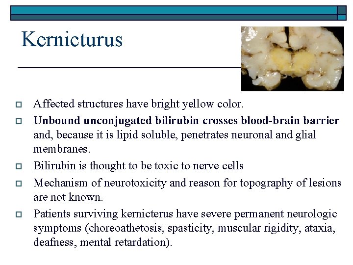 Kernicturus o o o Affected structures have bright yellow color. Unbound unconjugated bilirubin crosses