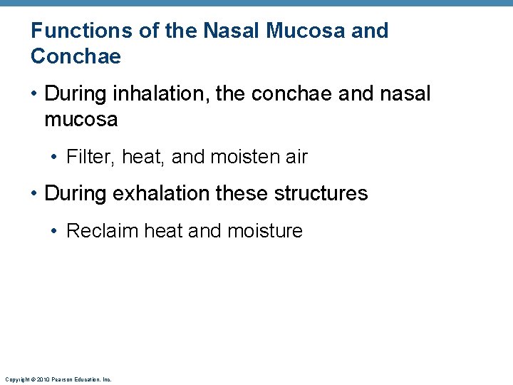 Functions of the Nasal Mucosa and Conchae • During inhalation, the conchae and nasal Functions of the Nasal Mucosa and Conchae • During inhalation, the conchae and nasal
