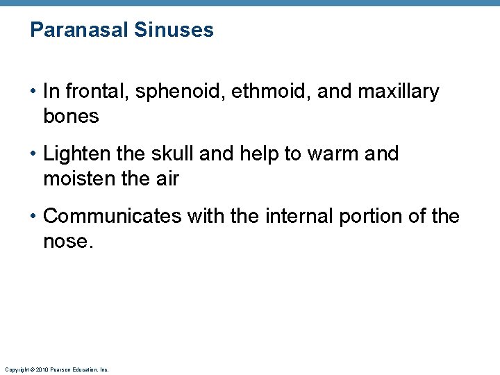 Paranasal Sinuses • In frontal, sphenoid, ethmoid, and maxillary bones • Lighten the skull Paranasal Sinuses • In frontal, sphenoid, ethmoid, and maxillary bones • Lighten the skull