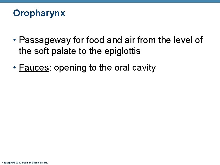 Oropharynx • Passageway for food and air from the level of the soft palate Oropharynx • Passageway for food and air from the level of the soft palate