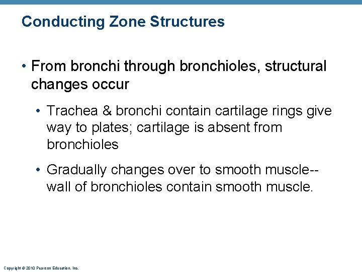 Conducting Zone Structures • From bronchi through bronchioles, structural changes occur • Trachea & Conducting Zone Structures • From bronchi through bronchioles, structural changes occur • Trachea &