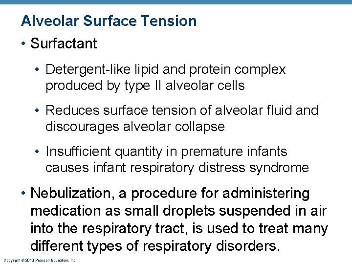 Alveolar Surface Tension • Surfactant • Detergent-like lipid and protein complex produced by type Alveolar Surface Tension • Surfactant • Detergent-like lipid and protein complex produced by type