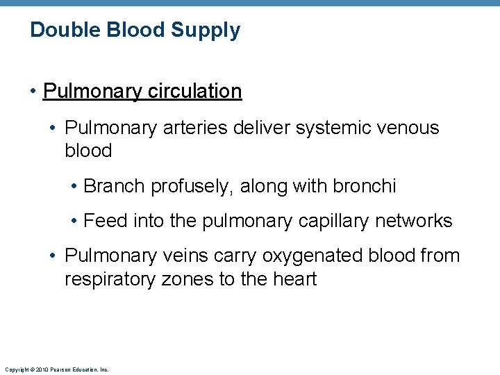 Double Blood Supply • Pulmonary circulation • Pulmonary arteries deliver systemic venous blood • Double Blood Supply • Pulmonary circulation • Pulmonary arteries deliver systemic venous blood •
