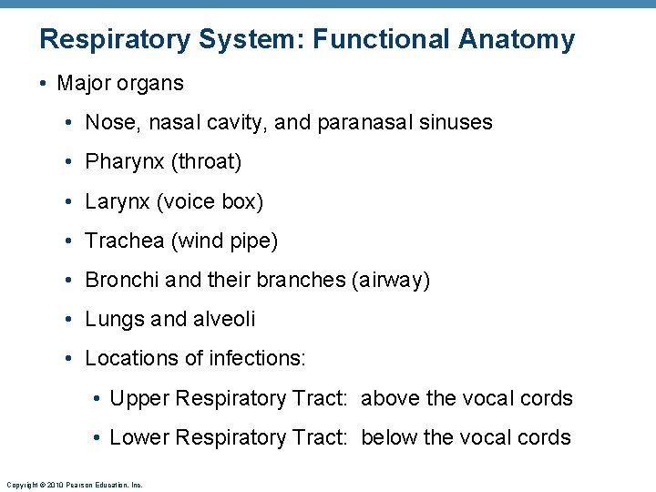 Respiratory System: Functional Anatomy • Major organs • Nose, nasal cavity, and paranasal sinuses Respiratory System: Functional Anatomy • Major organs • Nose, nasal cavity, and paranasal sinuses