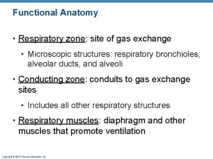 Functional Anatomy • Respiratory zone: site of gas exchange • Microscopic structures: respiratory bronchioles, Functional Anatomy • Respiratory zone: site of gas exchange • Microscopic structures: respiratory bronchioles,