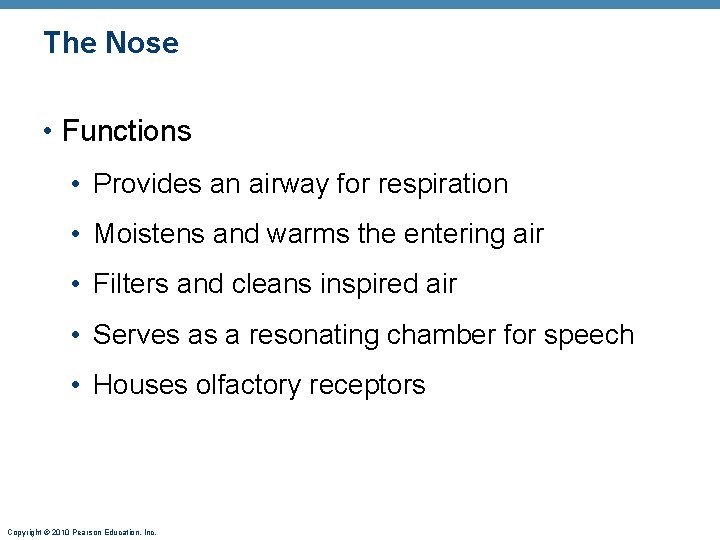 The Nose • Functions • Provides an airway for respiration • Moistens and warms The Nose • Functions • Provides an airway for respiration • Moistens and warms