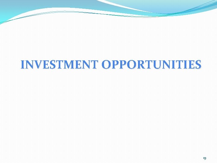 INVESTMENT OPPORTUNITIES 13 
