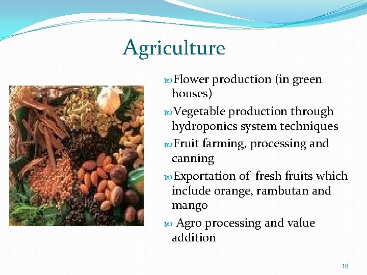 Agriculture Flower production (in green houses) Vegetable production through hydroponics system techniques Fruit farming,