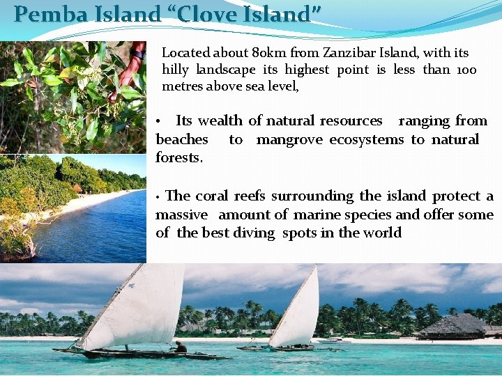 Pemba Island “Clove Island” Located about 80 km from Zanzibar Island, with its hilly