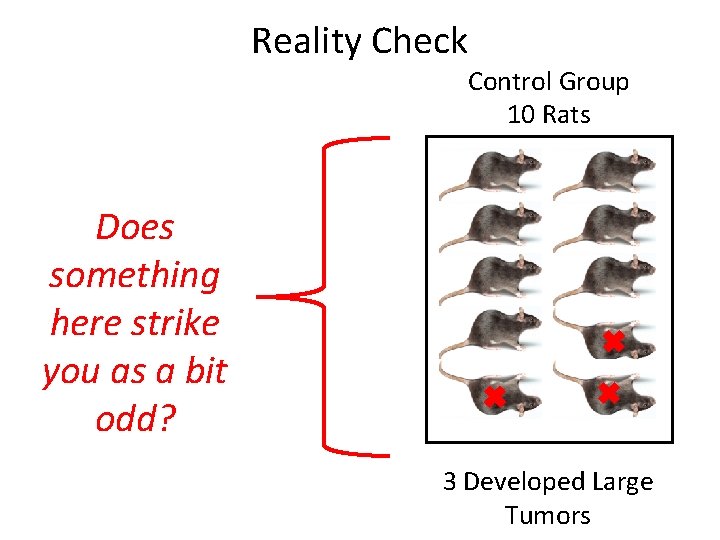 Reality Check Control Group 10 Rats Does something here strike you as a bit
