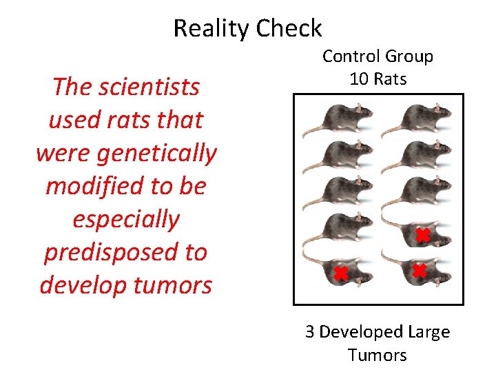 Reality Check The scientists used rats that were genetically modified to be especially predisposed