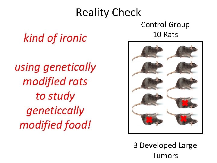 Reality Check kind of ironic Control Group 10 Rats using genetically modified rats to