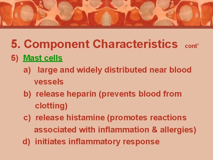 5. Component Characteristics cont’ 5) Mast cells a) large and widely distributed near blood