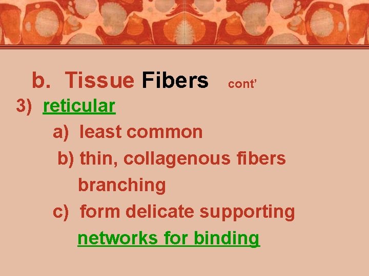 b. Tissue Fibers cont’ 3) reticular a) least common b) thin, collagenous fibers branching