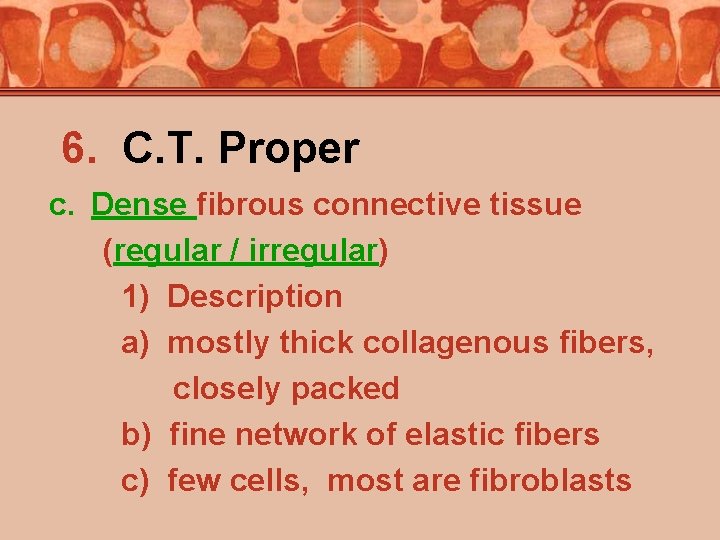 6. C. T. Proper c. Dense fibrous connective tissue (regular / irregular) 1) Description
