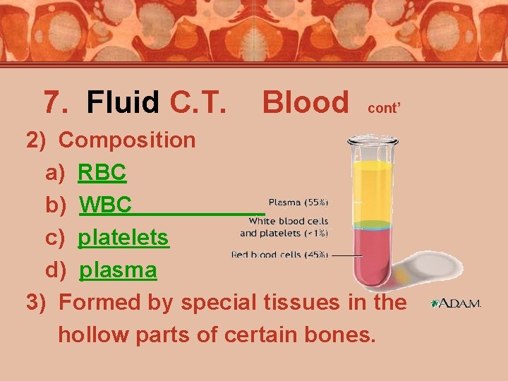 7. Fluid C. T. Blood cont’ 2) Composition a) RBC b) WBC c) platelets