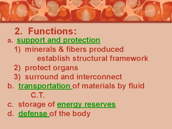 2. Functions: a. support and protection 1) minerals & fibers produced establish structural framework