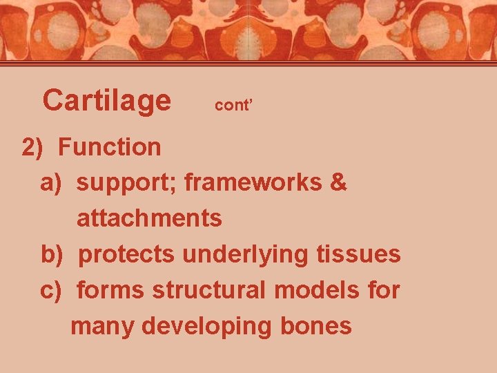 Cartilage cont’ 2) Function a) support; frameworks & attachments b) protects underlying tissues c)