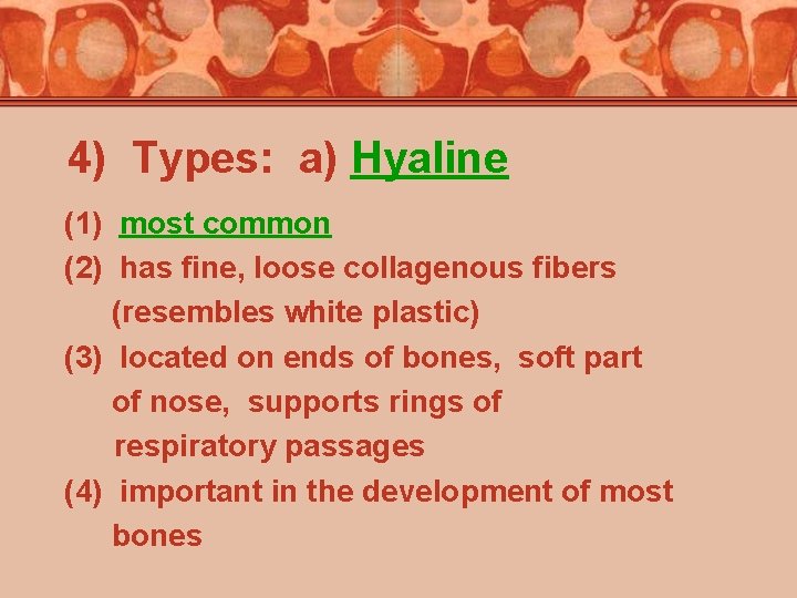 4) Types: a) Hyaline (1) most common (2) has fine, loose collagenous fibers (resembles