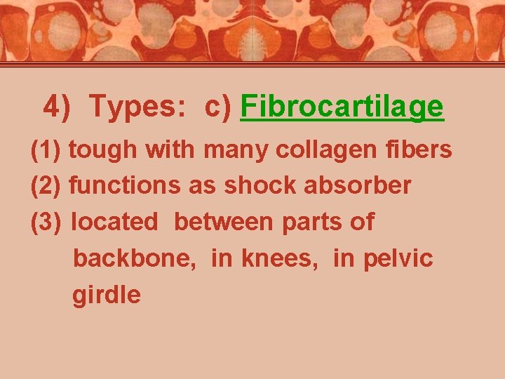 4) Types: c) Fibrocartilage (1) tough with many collagen fibers (2) functions as shock