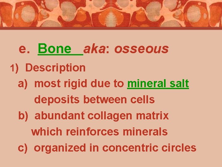 e. Bone aka: osseous 1) Description a) most rigid due to mineral salt deposits