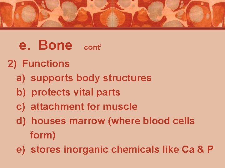 e. Bone cont’ 2) Functions a) supports body structures b) protects vital parts c)