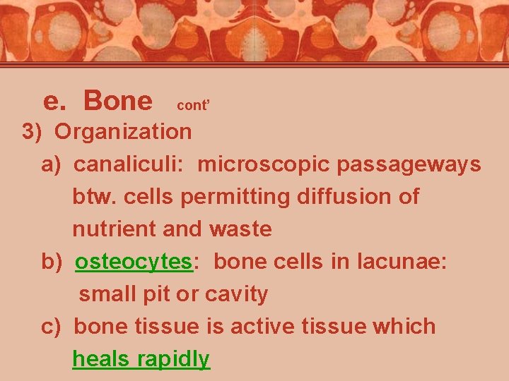 e. Bone cont’ 3) Organization a) canaliculi: microscopic passageways btw. cells permitting diffusion of