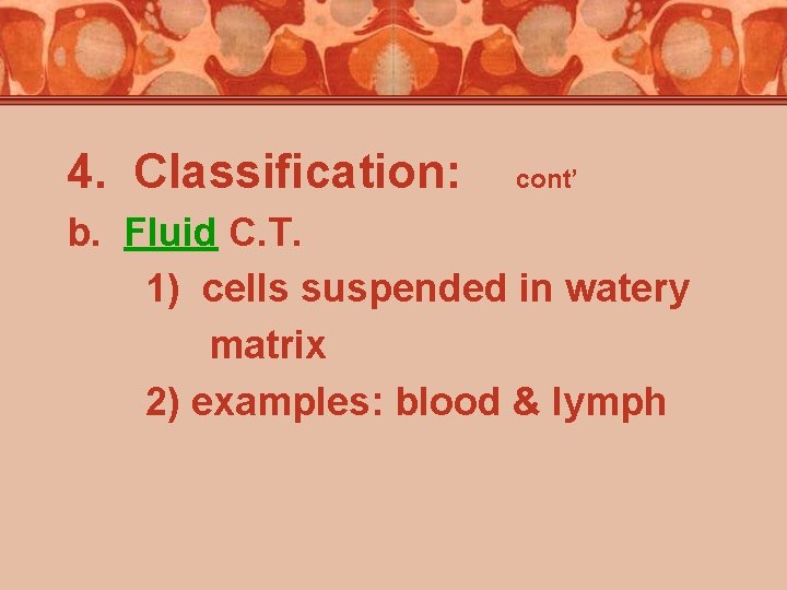 4. Classification: cont’ b. Fluid C. T. 1) cells suspended in watery matrix 2)