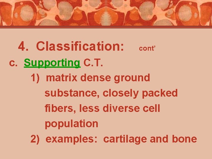 4. Classification: cont’ c. Supporting C. T. 1) matrix dense ground substance, closely packed