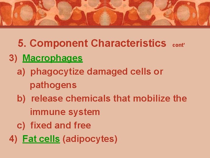 5. Component Characteristics cont’ 3) Macrophages a) phagocytize damaged cells or pathogens b) release