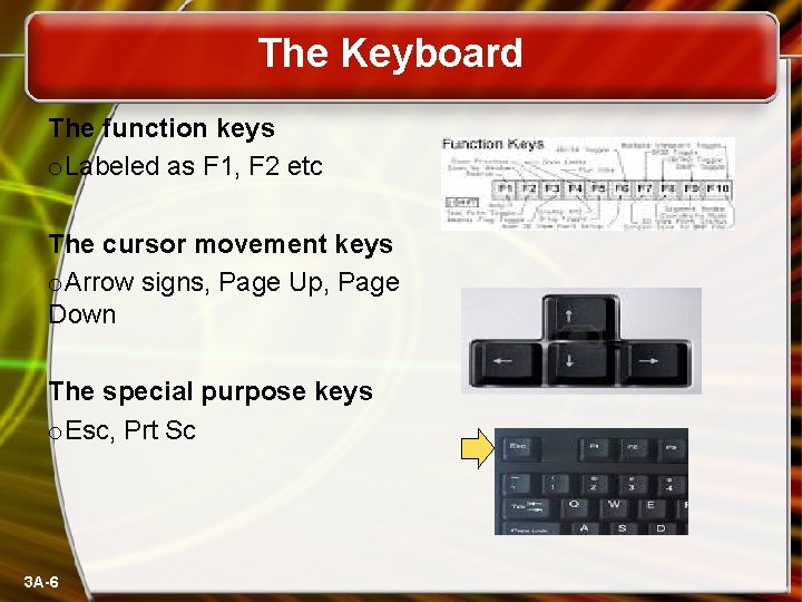 The Keyboard The function keys o. Labeled as F 1, F 2 etc The