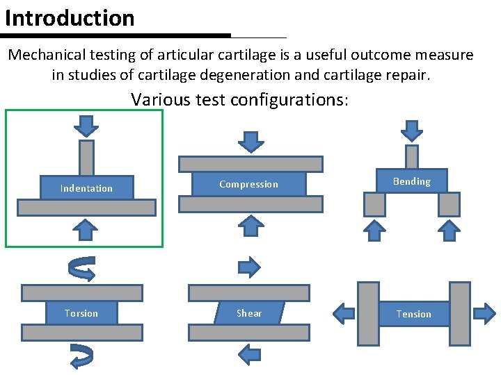 Introduction Mechanical testing of articular cartilage is a useful outcome measure in studies of