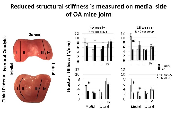 Reduced structural stiffness is measured on medial side of OA mice joint 15 weeks