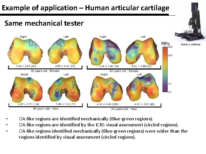 Example of application – Human articular cartilage Same mechanical tester Mach-1 v 500 css