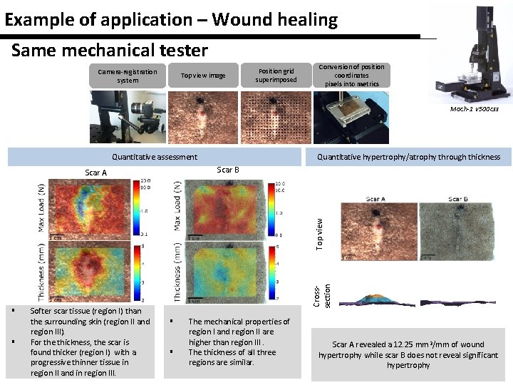 Example of application – Wound healing Same mechanical tester Camera-registration system Top view image