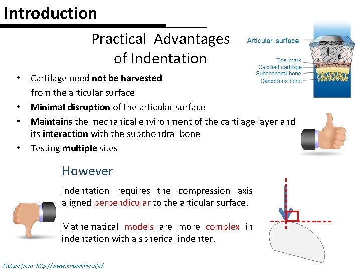 Introduction Practical Advantages of Indentation • • Cartilage need not be harvested from the