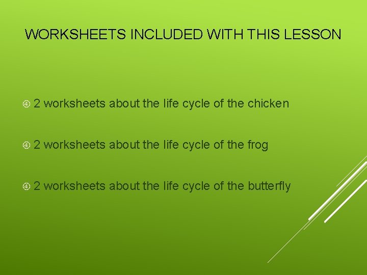 WORKSHEETS INCLUDED WITH THIS LESSON 2 worksheets about the life cycle of the chicken