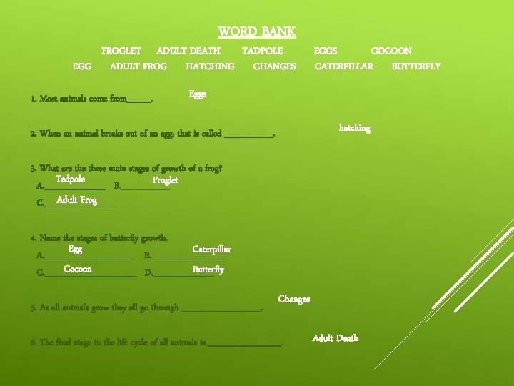 WORD BANK FROGLET ADULT DEATH TADPOLE EGG ADULT FROG HATCHING CHANGES 1. Most animals