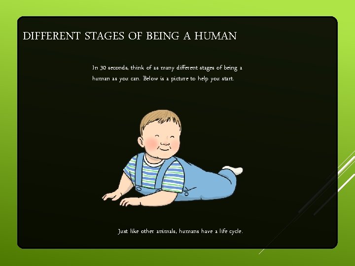 DIFFERENT STAGES OF BEING A HUMAN In 30 seconds, think of as many different