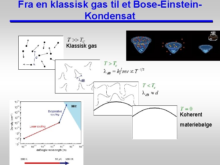 Fra en klassisk gas til et Bose-Einstein. Kondensat Klassisk gas Koherent materiebølge 