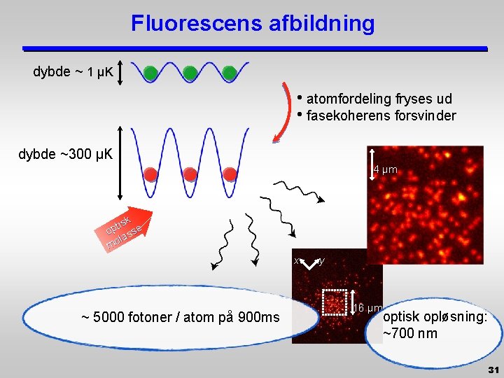 Fluorescens afbildning dybde ~ 1 µK • atomfordeling fryses ud • fasekoherens forsvinder dybde