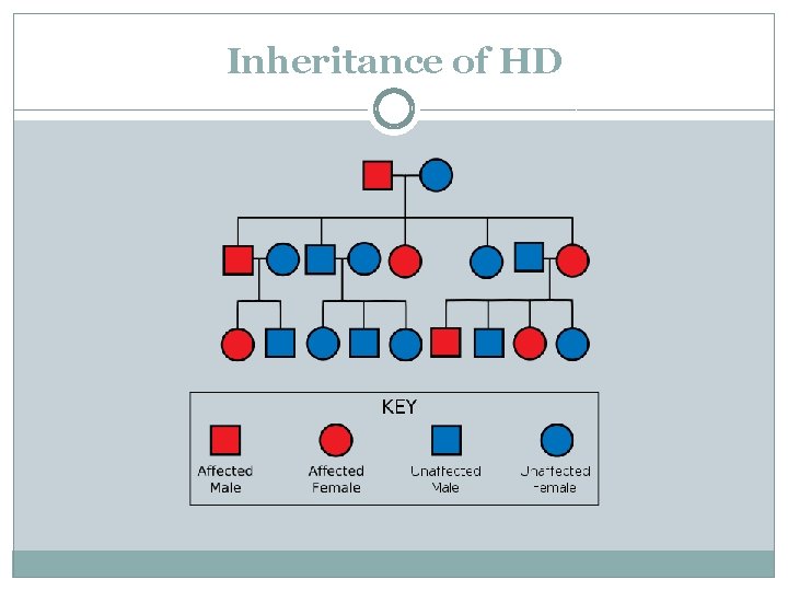 Inheritance of HD 