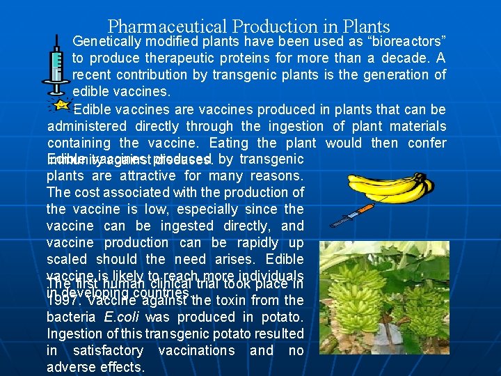 Pharmaceutical Production in Plants Genetically modified plants have been used as “bioreactors” to produce